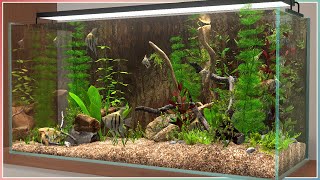 Riverbed Angelfish Tank  Behind Glass Aquarium Simulator  Speed Build [upl. by Nomael]