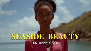 SEASIDE BEAUTY  6K OPEN GATE  BLACKMAGIC CINEMA CAMERA 6K FULL FRAME  PYXIS CINEMATIC  BMCC6K [upl. by Chelsey]