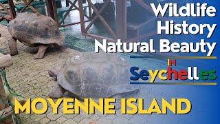 Explore Moyenne Island Seychelles Wildlife History and Natural Beauty [upl. by Neehs]