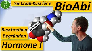 Hormone 1  Vergleich Peptidhormone und Steroidhormone  Übersicht über Funktionsweise von Hormonen [upl. by Netniuq]