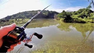 Trying to Catch Finicky Pond Bass [upl. by Clywd]