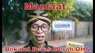 9 Manfaat Bekatul Beras Merah OHS [upl. by Jessalin]