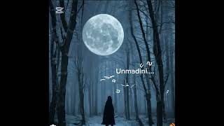 UnmadiniBhathiya N SantushCover By L Abeywardana🤍🤍 [upl. by Conlon299]