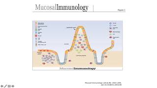 Natural defenses amp Microbiome of the GastroIntestinal GI tract [upl. by Eenhat]