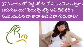 Thirtyseven37th week pregnancy details in Telugu  Baby development  Thirtysevenweekpregnancy [upl. by Perseus]