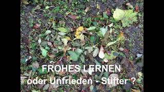 FROHES LERNEN ODER UNFRIEDEN STIFTER FRAGEZEICHENNader Michael AJM [upl. by Fleece907]