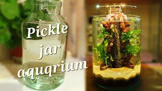 Pickle jar aquarium diy [upl. by Losse]