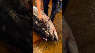 Huge 300kg Biggest Tuna Cutting food seafood tuna taiwan [upl. by Lleuqram]