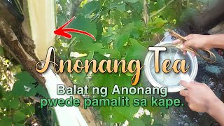 Anonang Tea balat ng anonang tree pwede pamalit sa kape [upl. by Aicyle]