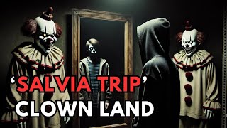 Salvia Trip Report ‘Clown Land [upl. by Adnirak927]