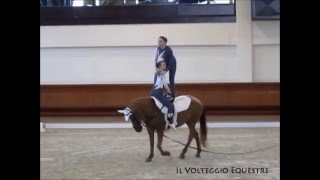 Campionato Italiano Volteggio 2015  categoria F  7° Oasi Boschetto [upl. by Nasaj]