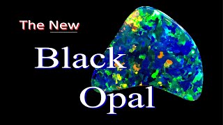 NEW Black Opal  How Does It Compare [upl. by Noreg484]