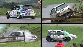 Rallye des Bornes 2024 Best of amp crash [upl. by Abbottson]