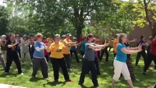 Demonstration of Taoist Tai Chi® arts [upl. by Yssenhguahs]