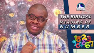 BIBLICAL MEANING OF NUMBERS  Find Out The Spiritual Meaning [upl. by Neeluqcaj]