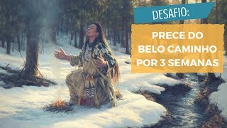 DESAFIO  Transforme sua vida em 3 semanas com o Poder da Prece do Belo Caminho  XV 65 [upl. by Annazus]