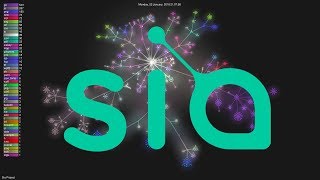 History of Sia 20142018 Git Visualization [upl. by Nira]