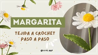 MARGARITA TEJIDA A CROCHET  aprende a tejerlos paso a paso  PATRÓN súper fácil [upl. by Enilesor]