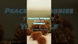 Peaceful hobbies to do by yourself homemaker peaceofmind [upl. by Postman]