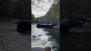 Catching a great blue herring up close while kayaking the little red river in Arkansas [upl. by Jamilla]