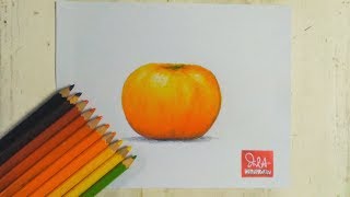 How to draw a Mandarin Orange with color pencils tutorial [upl. by Zetrom843]