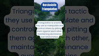 Narcissistic Triangulation The Toxic Tactic You Should Know [upl. by Zerat]