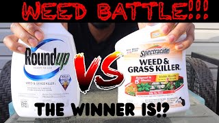 ROUNDUP VS SPECTRACIDE REAL TIME BATTLE WHATS THE BEST WEED KILLER [upl. by Bevvy]