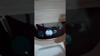 Commode Double Posh button Machine Installation Smd Homes Technicalplumber [upl. by Steck]