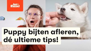 Puppy bijten afleren dé ultieme tips [upl. by Seidule]