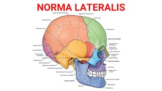 Norma Lateralis [upl. by Hars717]