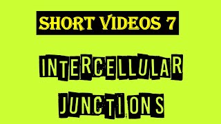 Intercellular junctions  Tight Junction  Gap junction  Desmosomes  Hemidesmosomes [upl. by Alel]
