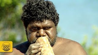 Didgeridoo Sound  Australian Instrument [upl. by Yrojram]