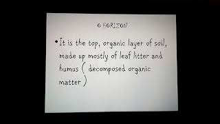 SOIL PROFILE detailed presentation [upl. by Karney600]