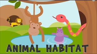 Animal Habitats  Animal Homes  Animals video for kids [upl. by Banna155]