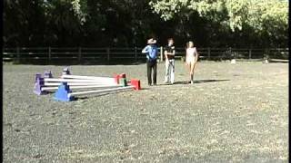 Pro Tips for Cavaletti Training – How to Space Cavaletti Horse Jumps [upl. by Boru474]