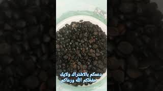 قال رسول الله صلى الله عليه وسلم صلواعلىالنبي [upl. by Atsiuqal]