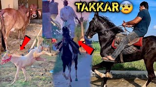 Horse Colony Mai Hi Aagye Aaj  RAFTAR Ki Takkar Ka Ghoda Mil Gya 😨🔥 [upl. by Halimaj786]