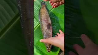 Survival Skills SIMPLE and USEFUL with fish bushcraft camping outdoors [upl. by Shalom]