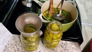 Pickling Cucumbers cucumber pickling homesteading picklerecipe [upl. by Charleen]