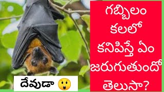 gabbilam kalalo kanipisthe గబ్బిలం కలలో వస్తేbats in dreamsbatsdream analysis Telugukalalu [upl. by Jenda]