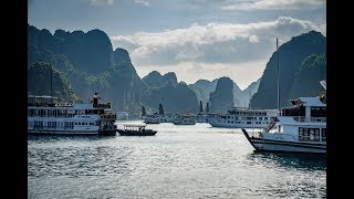 Halong Bay Junk Boat Cruises Vietnam 🇻🇳 [upl. by Cloutman759]