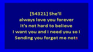 Patrice Rushen  Forget Me Nots karaoke [upl. by Constantino330]