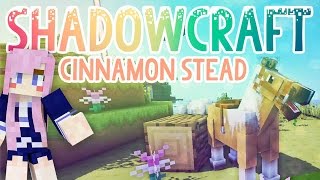 Cinnamon Stead  Shadowcraft 20  Ep13 [upl. by Amoihc]