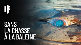 Et si la chasse à la baleine navait jamais eu lieu [upl. by Acimad]