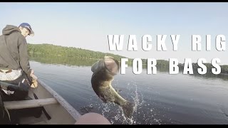 Wacky Rig for Bass  Underwater footage  GoPro HD [upl. by Milicent]