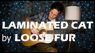 Laminated Cat  Loose Fur Live Acoustic Guitar cover by Andy Unsworth  The Atomic Hound Dog [upl. by Jaymee674]