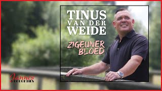 Tinus Van Der Weide  Zigeunerbloed Officiële videoclip [upl. by Byram]