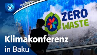 COP29 in Baku was Wissenschaftlerinnen von der Klimakonferenz erwarten [upl. by Uball748]