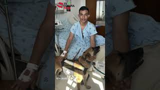 ¡Qué lindo Perritos de las Fuerzas militares visitan soldados h3r1d0s en Hospital Militar [upl. by Syl742]