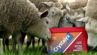 Crystalyx National TV Advert [upl. by Agate]